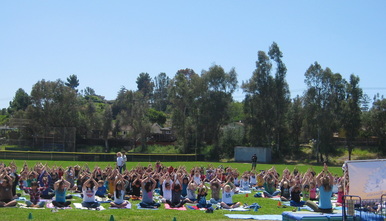 Yoga Assembly